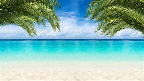 yvbeach|yvmeteo.